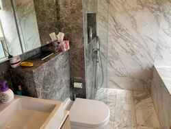 The Peak @ Cairnhill II (D9), Apartment #504162461